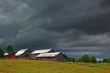 Four Barns_03964